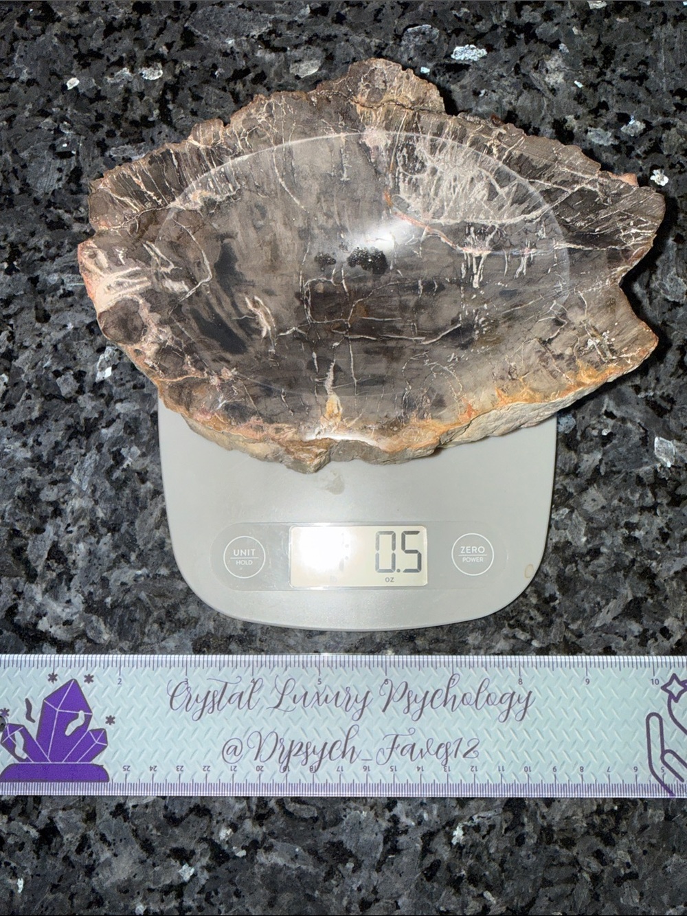 Petrified Wood Custom Bowl B 5 x 7.25โ 4 LBS - Picture 8 of 11